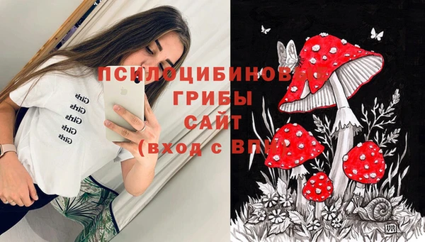 PSILOCYBIN Абдулино