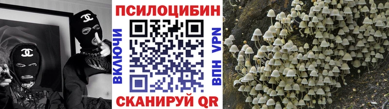 Псилоцибиновые грибы GOLDEN TEACHER  мега ONION  Вытегра 