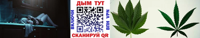 МАРИХУАНА план  Вытегра 